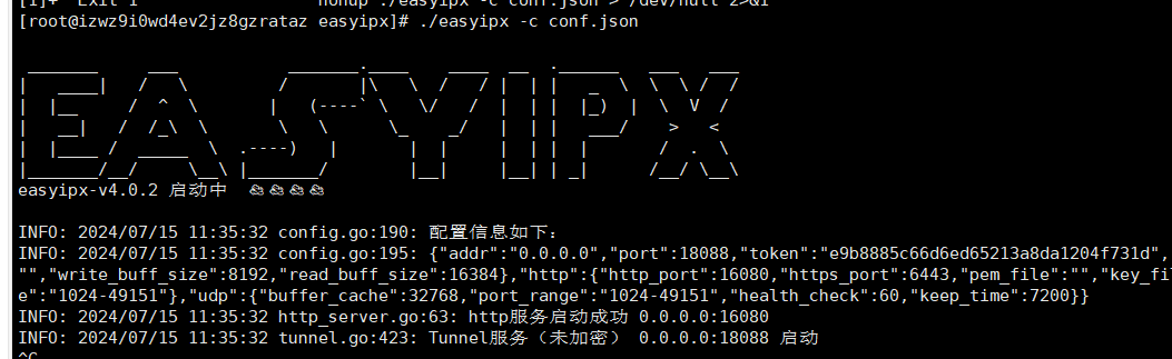 image-20240715122917337